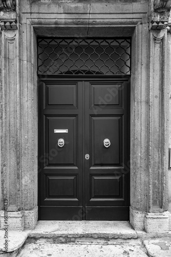Luxurious door, with brass ...