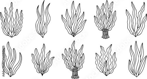 set of seaweed wavy strands outline icon vector
