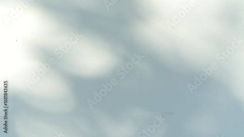 Pastel green background with light and gentle leaf shadows