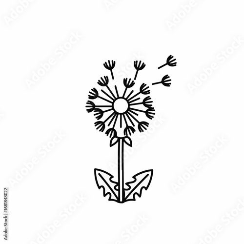 Dandelion flower illustration on white background. Dandelion drawing showcases delicate seeds and distinctive form. Simple dandelion illustration for natural beauty and minimalist appeal,