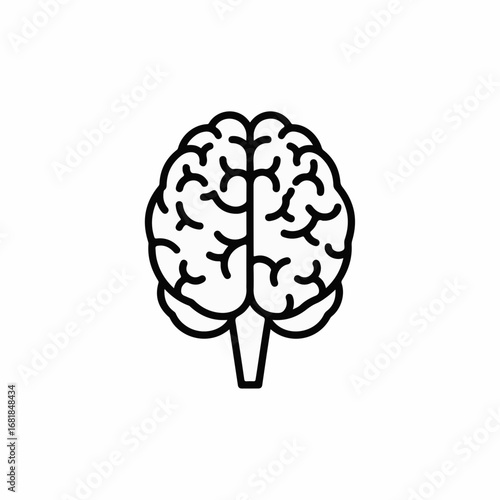 Human brain illustration with cerebral hemispheres, cerebellum, and brainstem in outline style. Human brain graphic is a symbolic depiction of intellectual capabilities, intelligence,