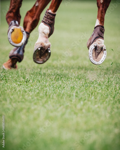 Close up of a horse leg and hoof while running - show jumping and dressage