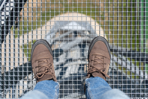 Fotografie Brown shoes standing on the metal grating floor of an observation deck