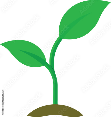 Green plant sprout with growing leaves vector illustration for scalable eps graphic design projects transparent background