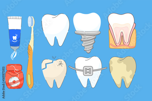 Dental Care and Oral Health Vector Set. Healthy Teeth, Tooth with Braces, Implant, Anatomy Cross-Section, Cartoon Molar. Set of Icons: Toothbrush, Toothpaste, Dental Floss.  Dentistry concept set
