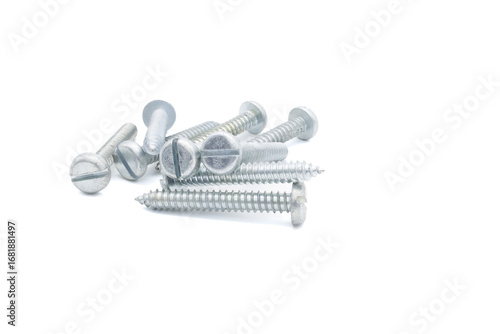 Wood screw or dowel on a white background