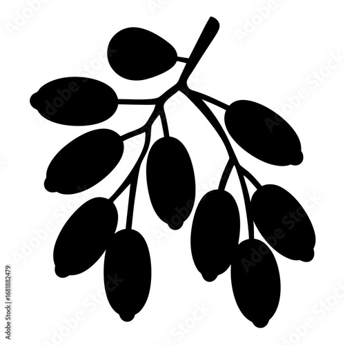 Silhouette illustration of a branch bearing olives, dates or similar fruits