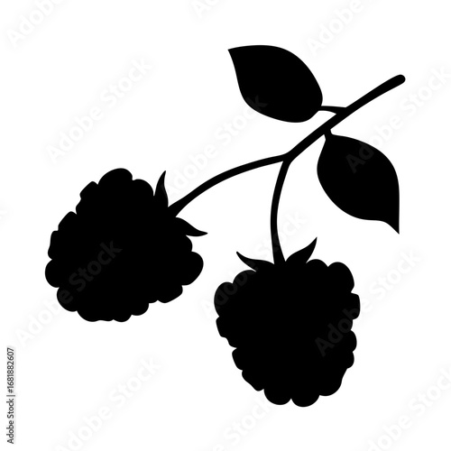 Blackberry Branch Silhouette with Leaves on a White Background Illustration