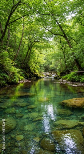 Serene Forest River: A vibrant forest scene with clear water stream meandering through the lush green of towering trees, reflecting the beauty of nature in a picturesque landscape