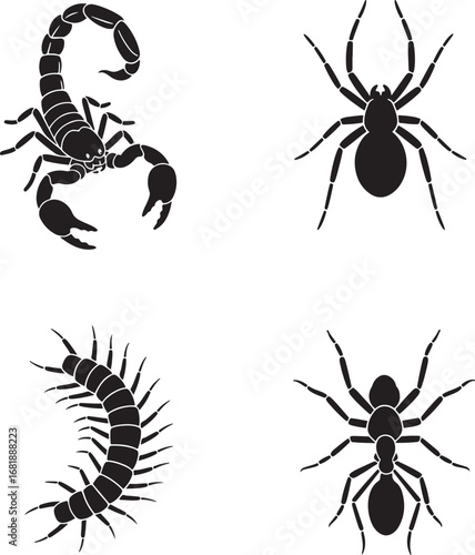 Dangerous bugs and insects vector illustration featuring scorpion spider centipede and ant