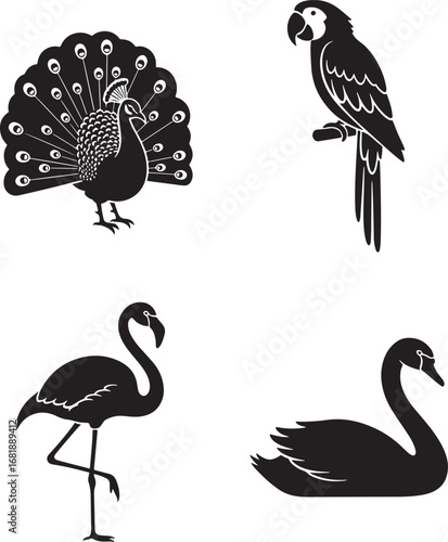 Elegant Bird Silhouettes Featuring Peacock Macaw Flamingo and Swan on White Background