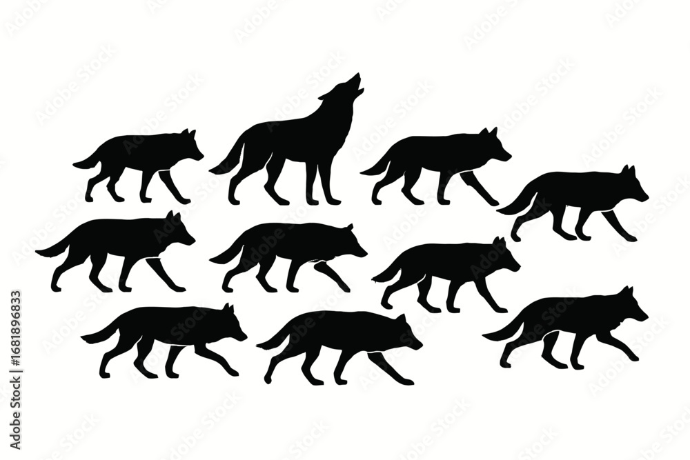 Obraz premium wolves walking