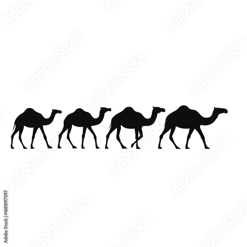 caravan of camels walking