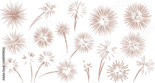 Delicate hand drawn dandelion seed heads in soft colors
