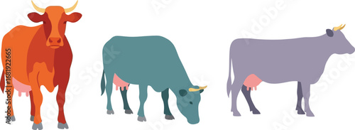 Three cows of different colors are standing in a row.