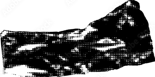 Abstract monochrome image featuring a pattern of black and white dots and shapes forming an object