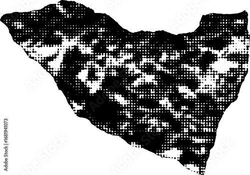 Abstract black and white halftone pattern resembling a landmass with irregular borders and varied density