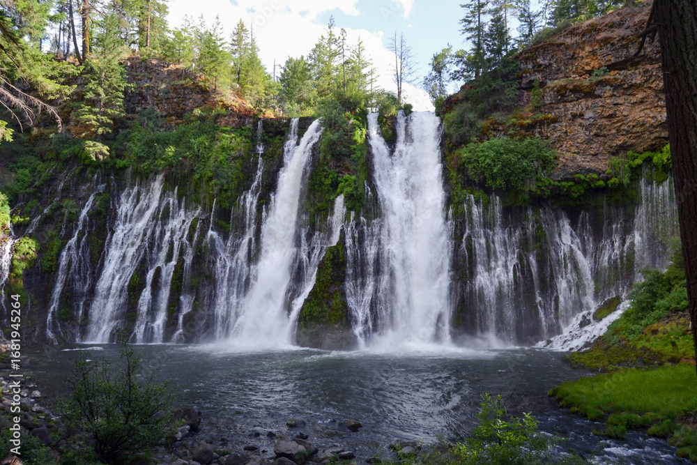 Fototapeta premium waterfall in the forest