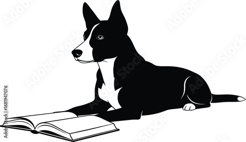 Black and white dog lying down reading an open book on a white background animal