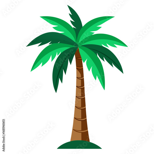 palm tree vector illustration