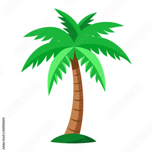 palm tree vector illustration