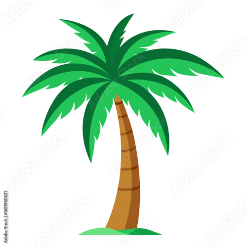 palm tree vector illustration