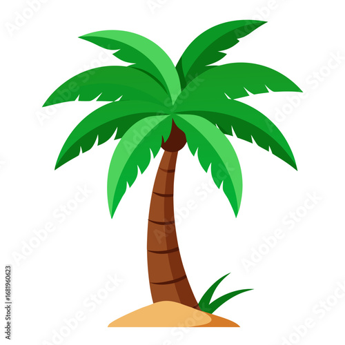 tropical palm tree