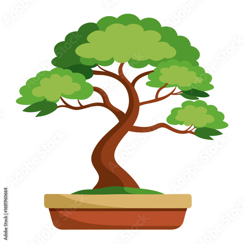 bonsai tree isolated on white