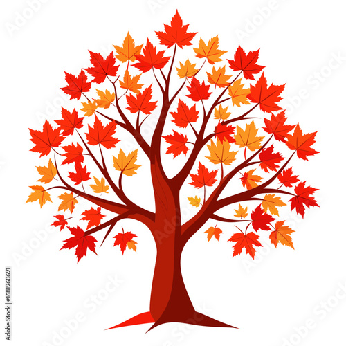 autumn tree vector
