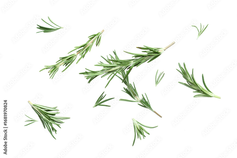 Obraz premium Flying fresh rosemary isolated on white background, closeup