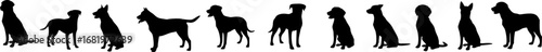 Front view of dogs group standing or sitting of different breeds vector silhouette collection
