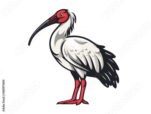 Stork with striking red features stands tall