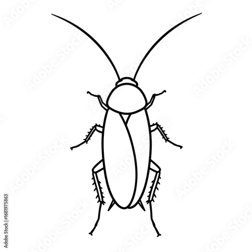 Cockroach illustration in line art style on a white background  doodle icon, simple hand-drawn outline, doodle style, minimal black line, isolated on white