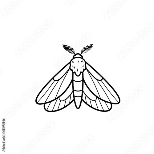 Line art illustration of a moth with detailed wings and antennae  doodle icon, simple hand-drawn outline, doodle style, minimal black line, isolated on white
