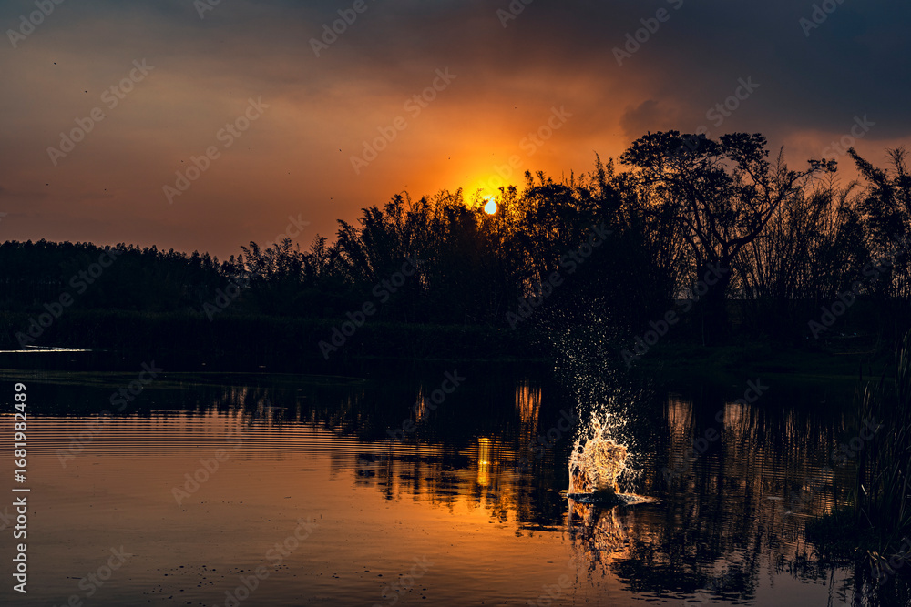 Obraz premium sunrise over lake