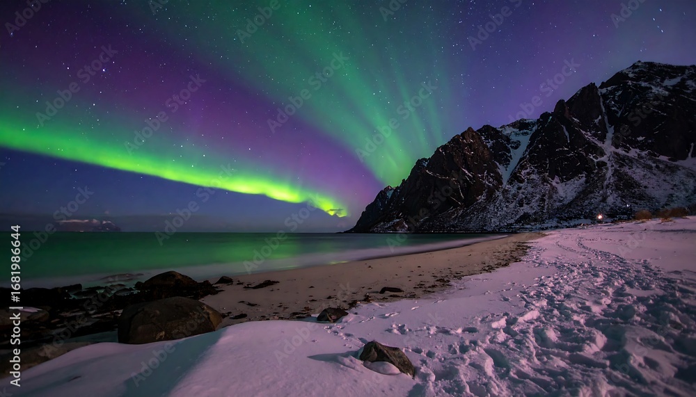 Naklejka premium Northern Lights over a snowy beach at night