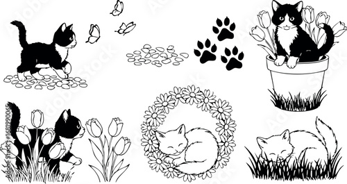 Playful cats with butterflies and flowers in nature vector illustration black and white 