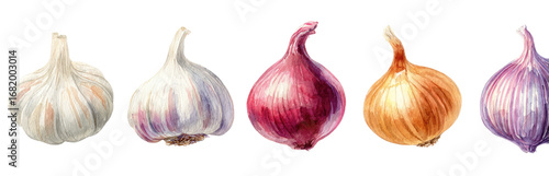 Four whole bulbs, a mix of garlic and onions, illustrated