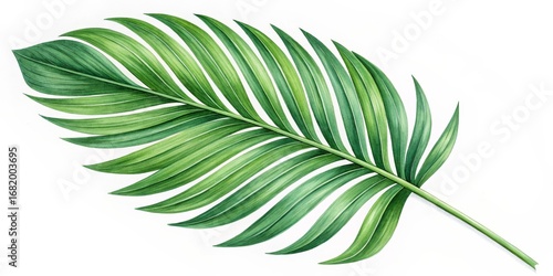 Watercolor Palm Leaf Botanical Illustration, Single Frond Composition, Lush Green Hues, Tropical Design, ,palm leaf, watercolor painting