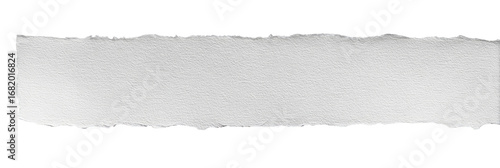 A ripped piece of white paper or tape