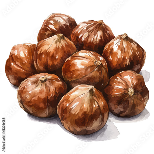 Roasted Chestnuts, watercolor illustration vector, isolated on a white background.