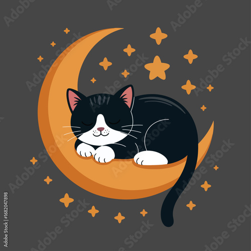 Cute black and white cat on golden moon  ideal for cat lovers, animal enthusiasts, nighttime themed designs or petrelated content.