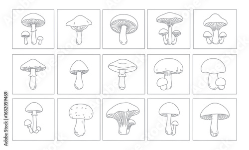 Fifteen different mushroom illustrations arranged in a grid, showcasing various shapes and sizes, depicted with fine line art.
