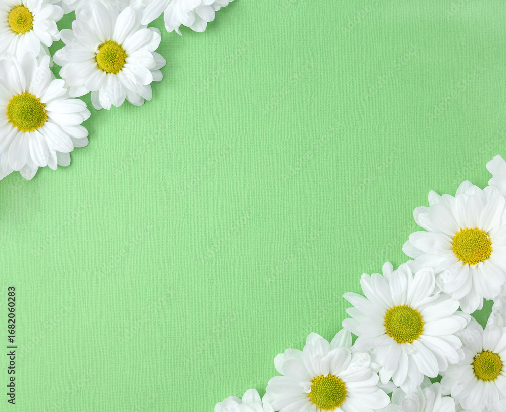 Obraz premium Diagonal floral frame with daisies on green background. Flower banner. Hello summer concept. Selective focus, copy space