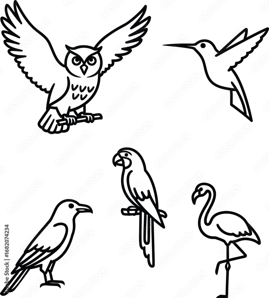 Obraz premium Birds and Avian Line Art Vector Illustration Set. Outline Icons of an Owl, Hummingbird, Crow, Parrot, and Flamingo. Wildlife and Nature-Themed Collection.
