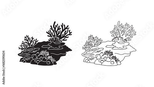 Coral reef outline with transparent background