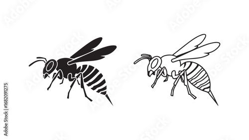 Wasp outline and solid style with transparent background