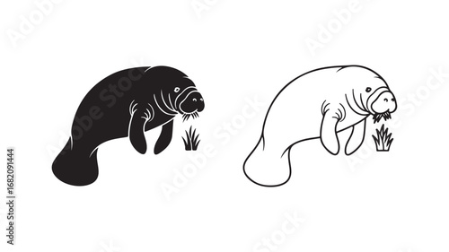 Manatee eating seagrass outline and silhouette