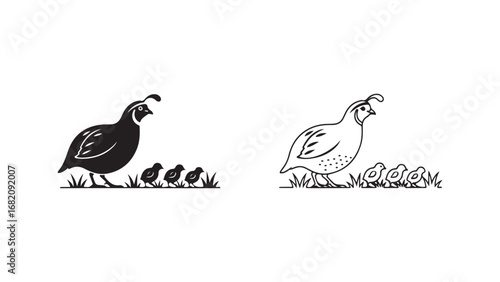 Quail with chicks in grass outline style