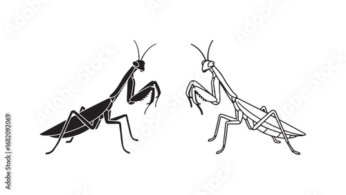 Praying mantis pair with transparent background